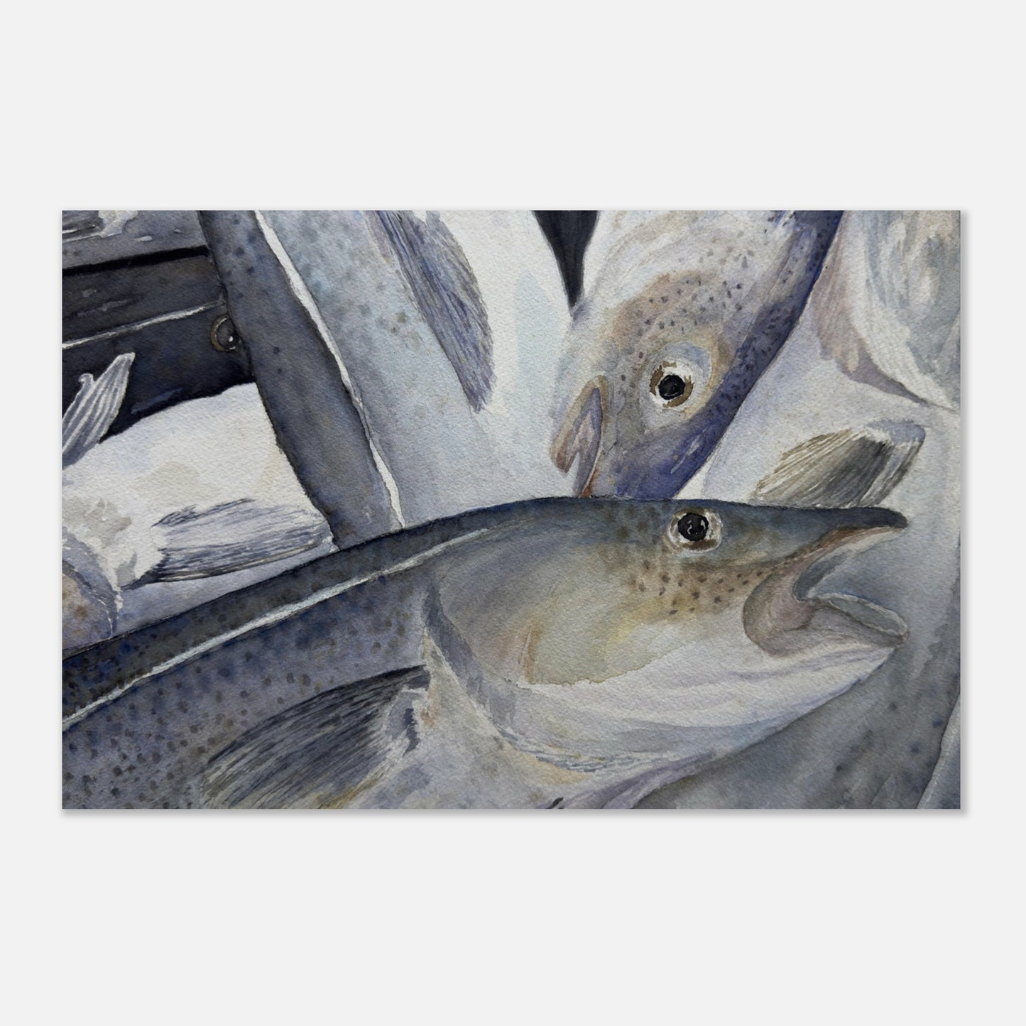 86bd6781-6964-454d-a255-f48522f5dc0b