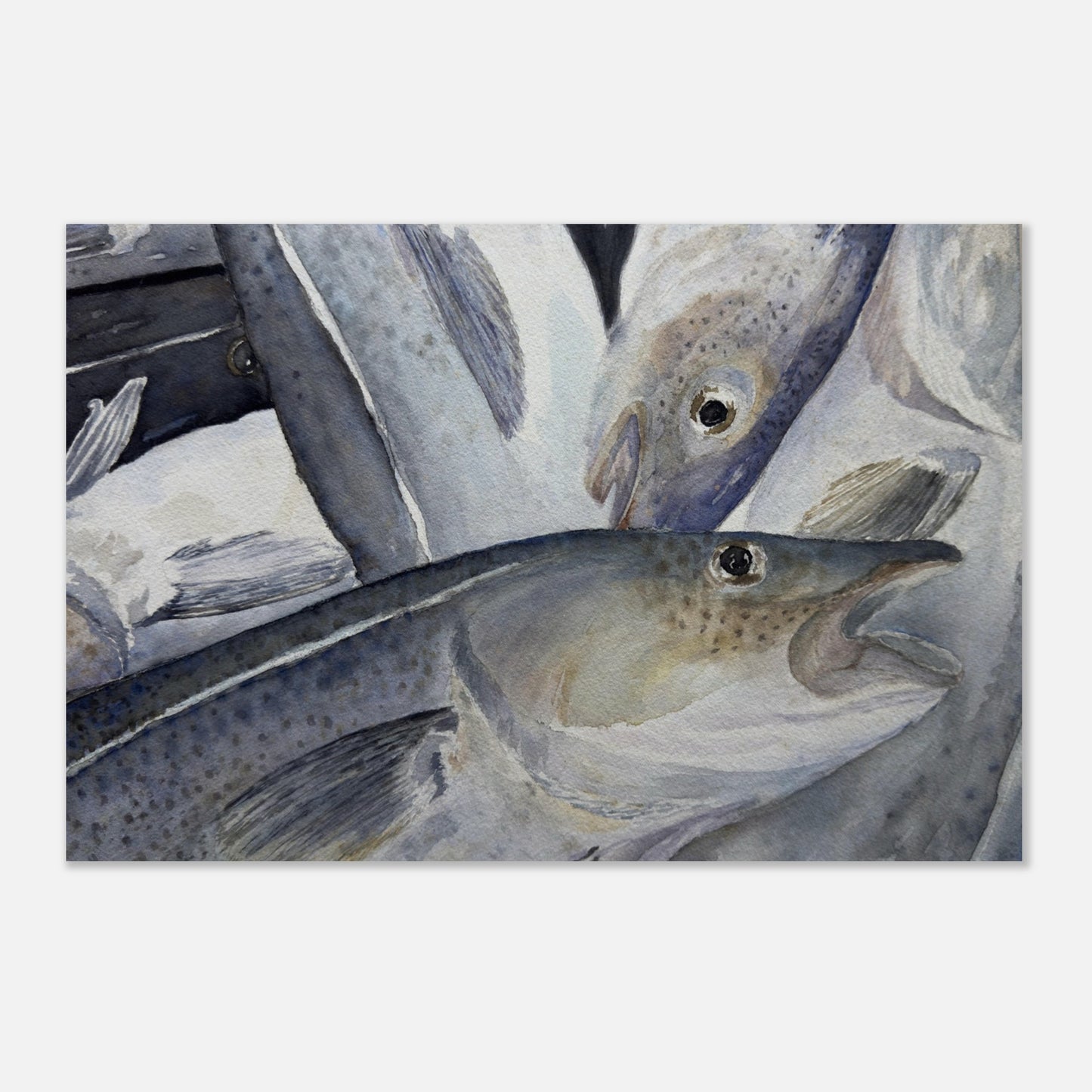 c2b00db1-eb96-4d7d-bdd2-751047e69e9a